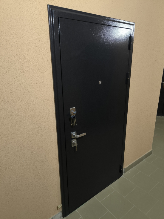 Фото входной двери №31